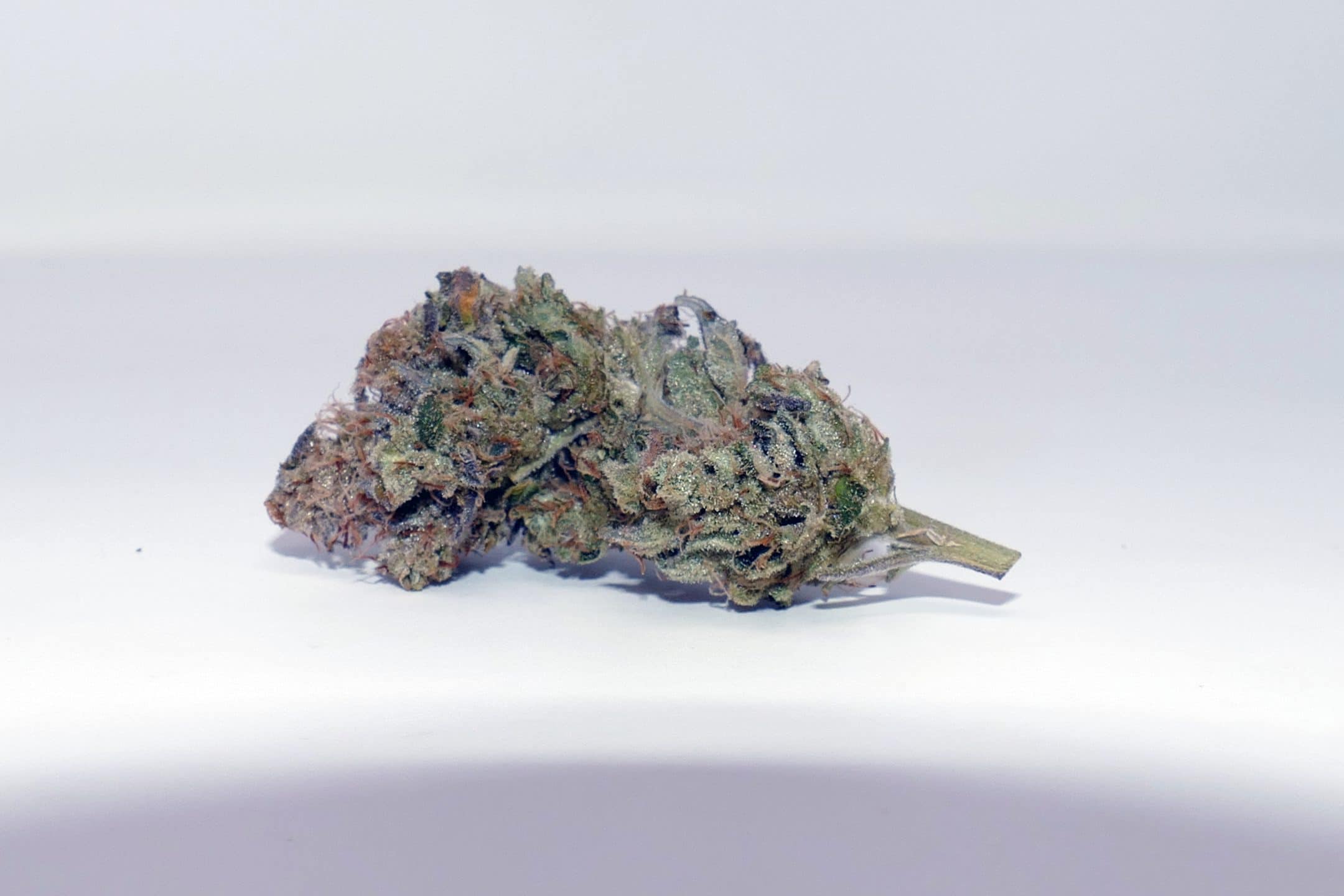 Archive image 3 for Double Funk Cannabis Strain Review & Information