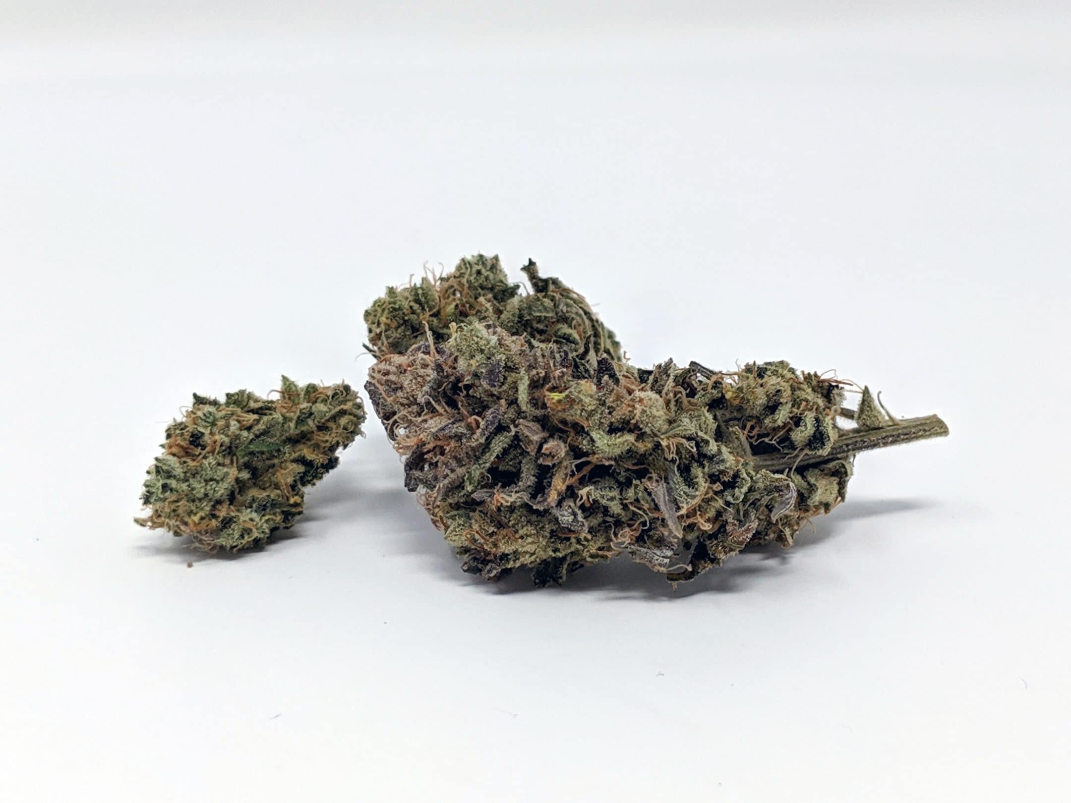 Archive image 4 for Double Funk Cannabis Strain Review & Information