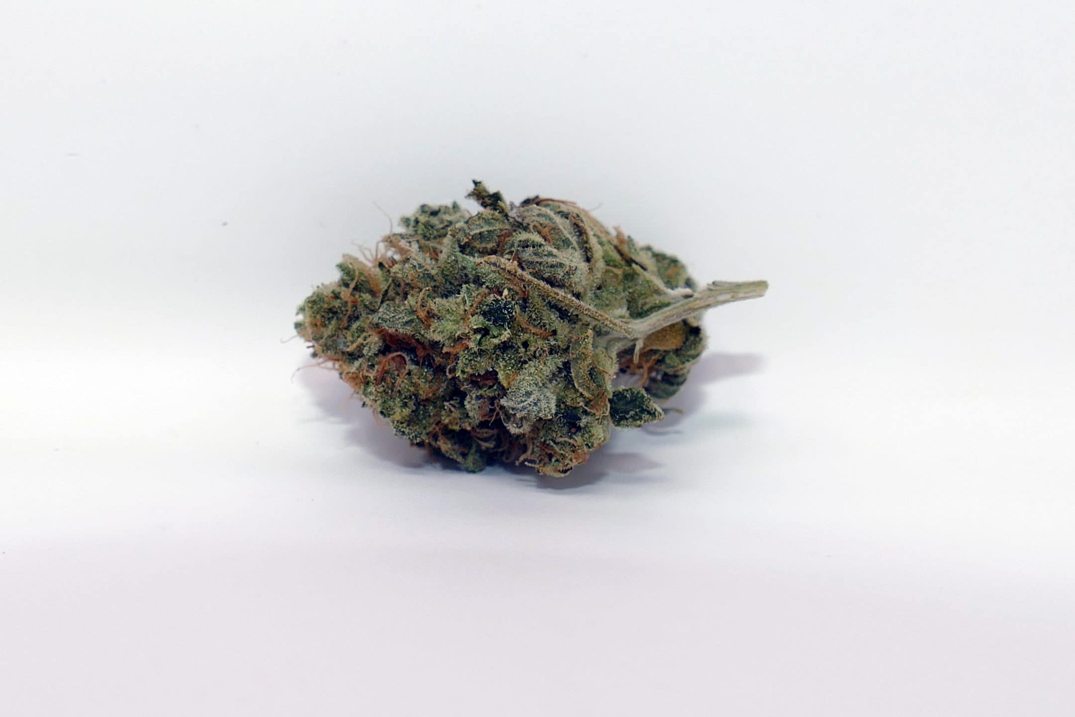 Archive image 5 for Double Funk Cannabis Strain Review & Information