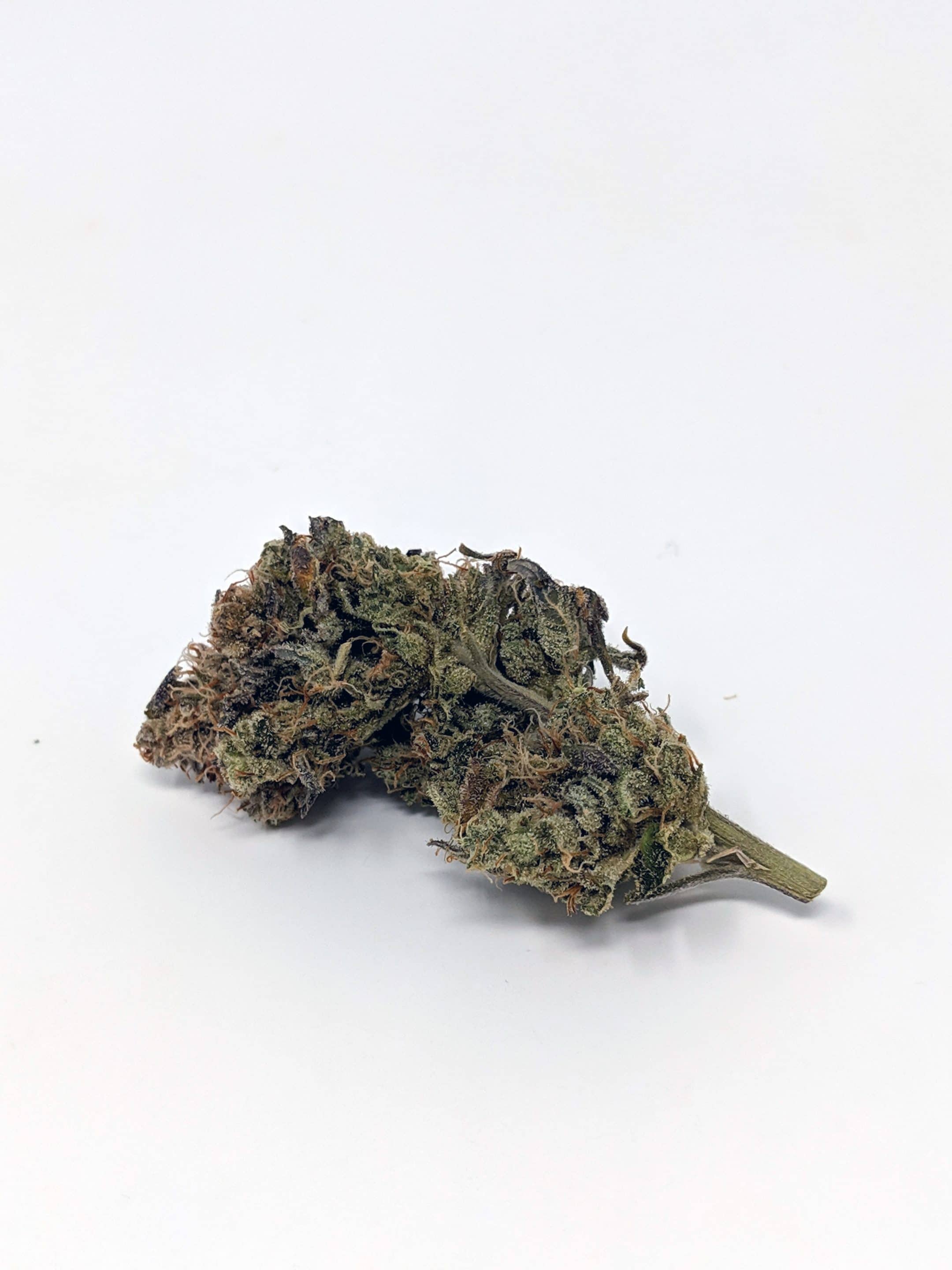 Archive image 6 for Double Funk Cannabis Strain Review & Information