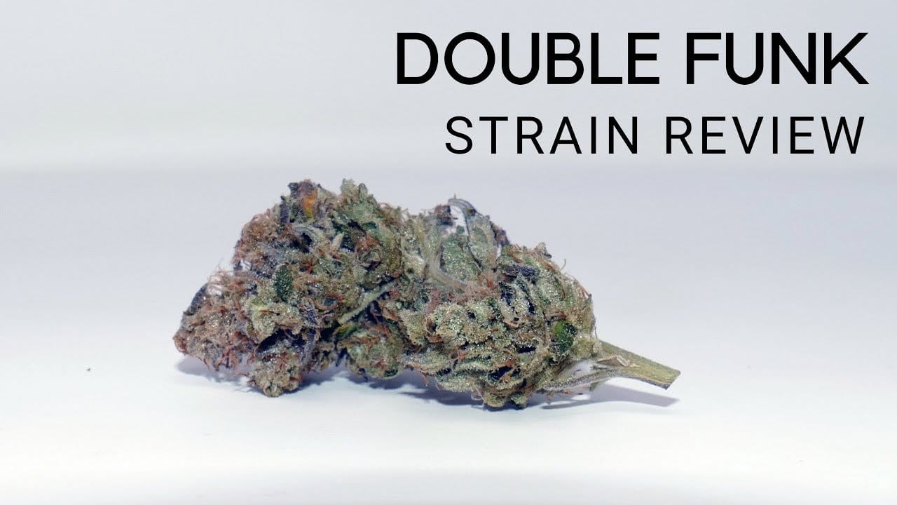 Archive image 7 for Double Funk Cannabis Strain Review & Information