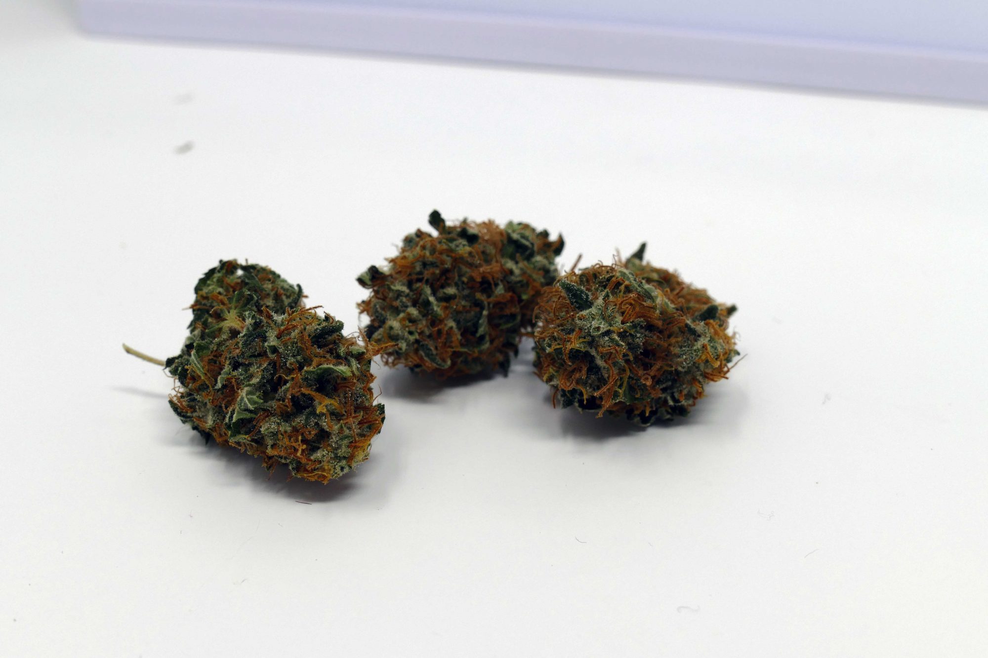 Archive image 3 for Early Skunk Cannabis Strain Information & Review