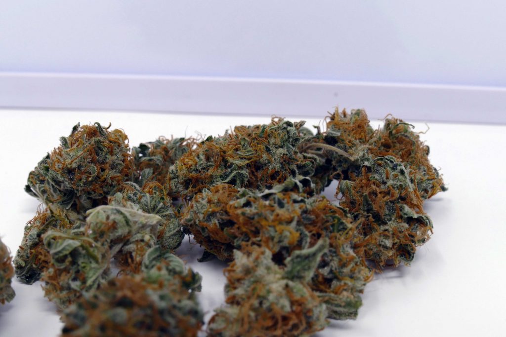 Archive image 5 for Early Skunk Cannabis Strain Information & Review