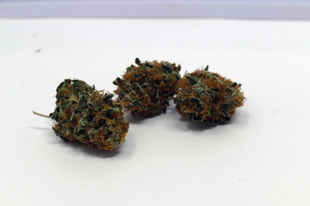 Archive image 7 for Early Skunk Cannabis Strain Information & Review