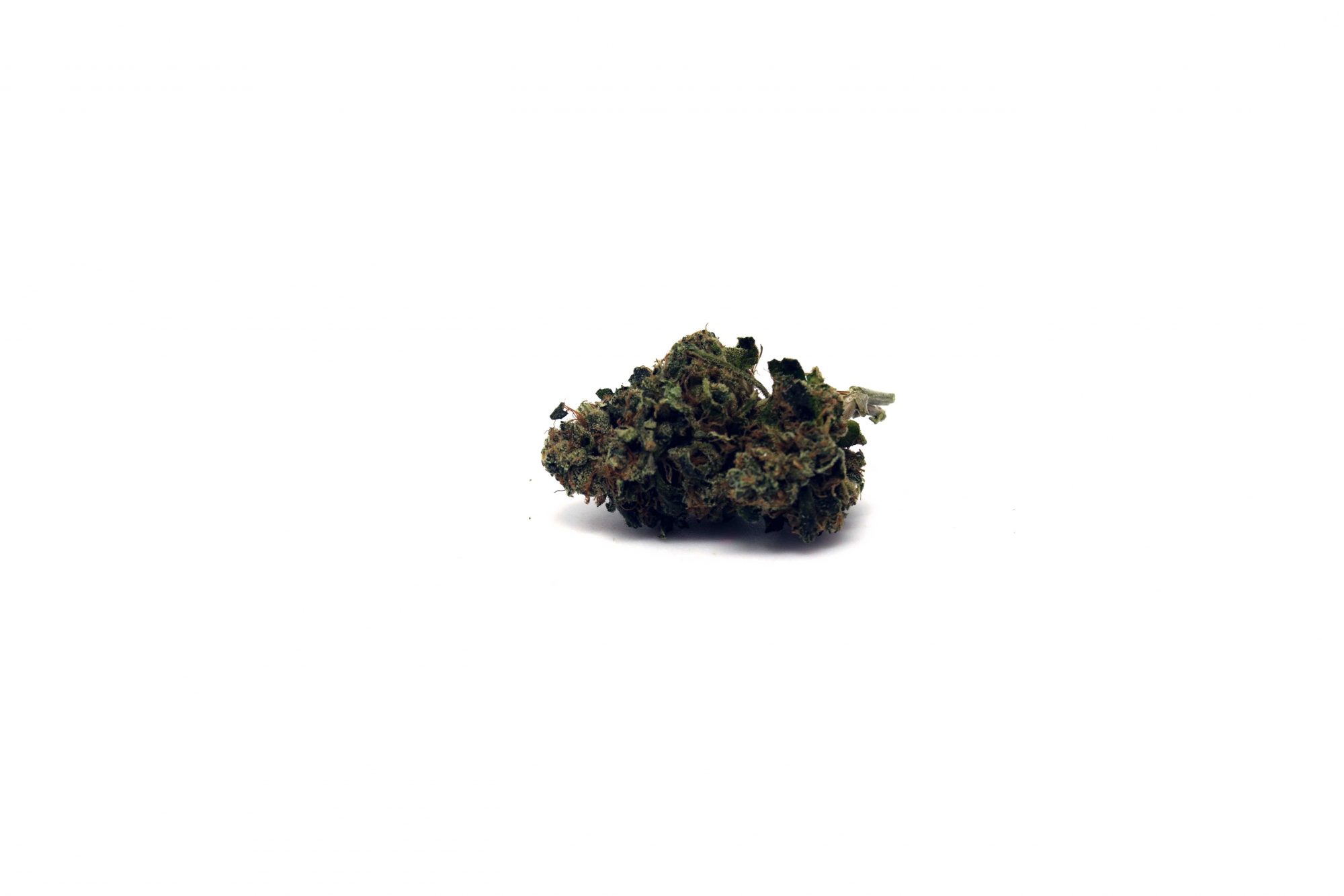 Archive image 4 for East Coast Sour Diesel Cannabis Strain Information & Review