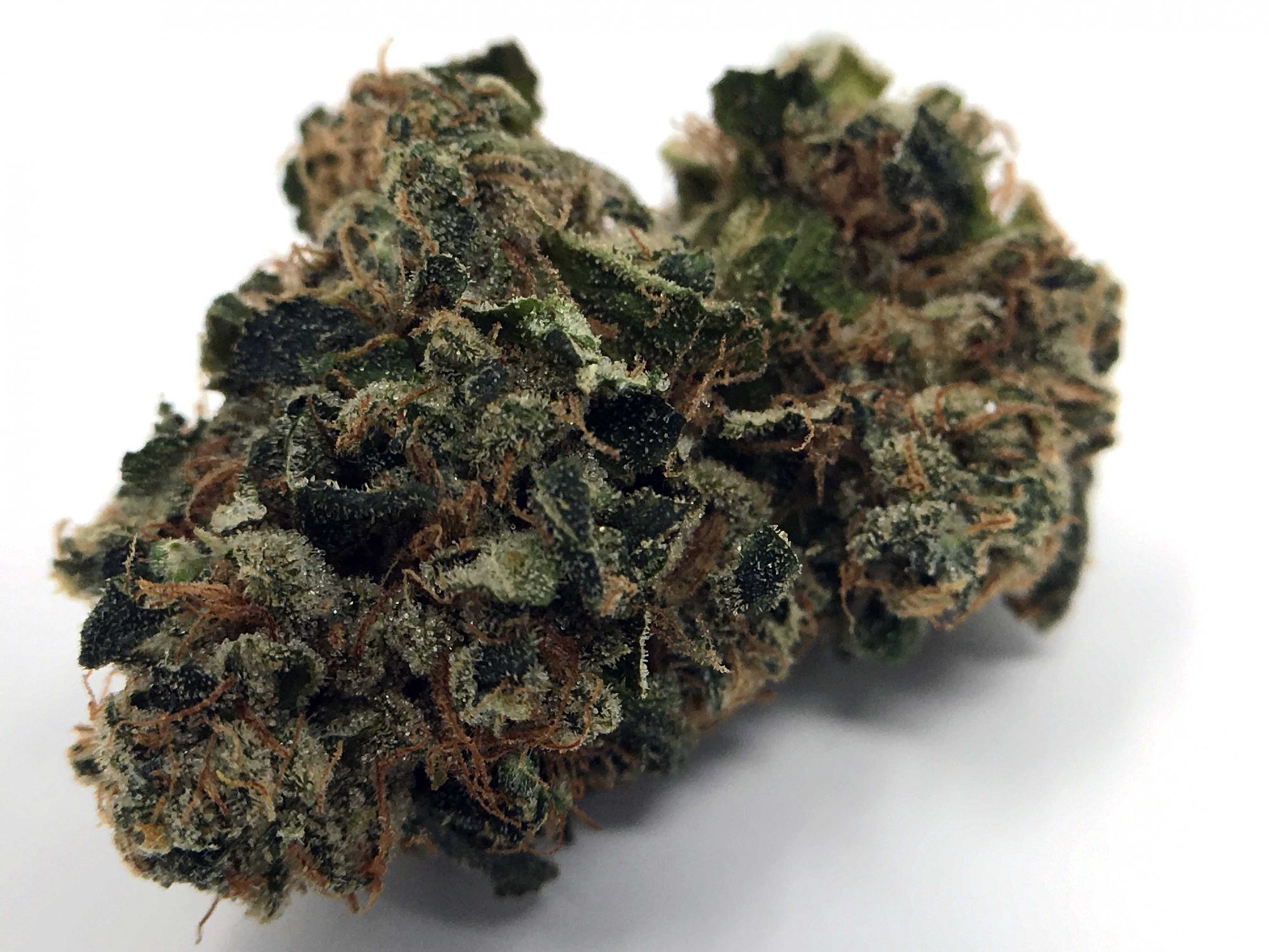 Archive image 6 for East Coast Sour Diesel Cannabis Strain Information & Review