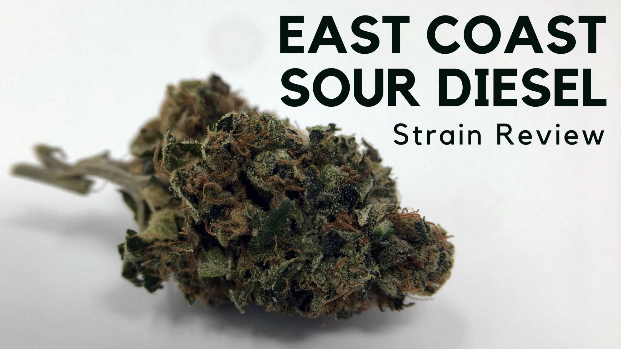 Archive image 7 for East Coast Sour Diesel Cannabis Strain Information & Review