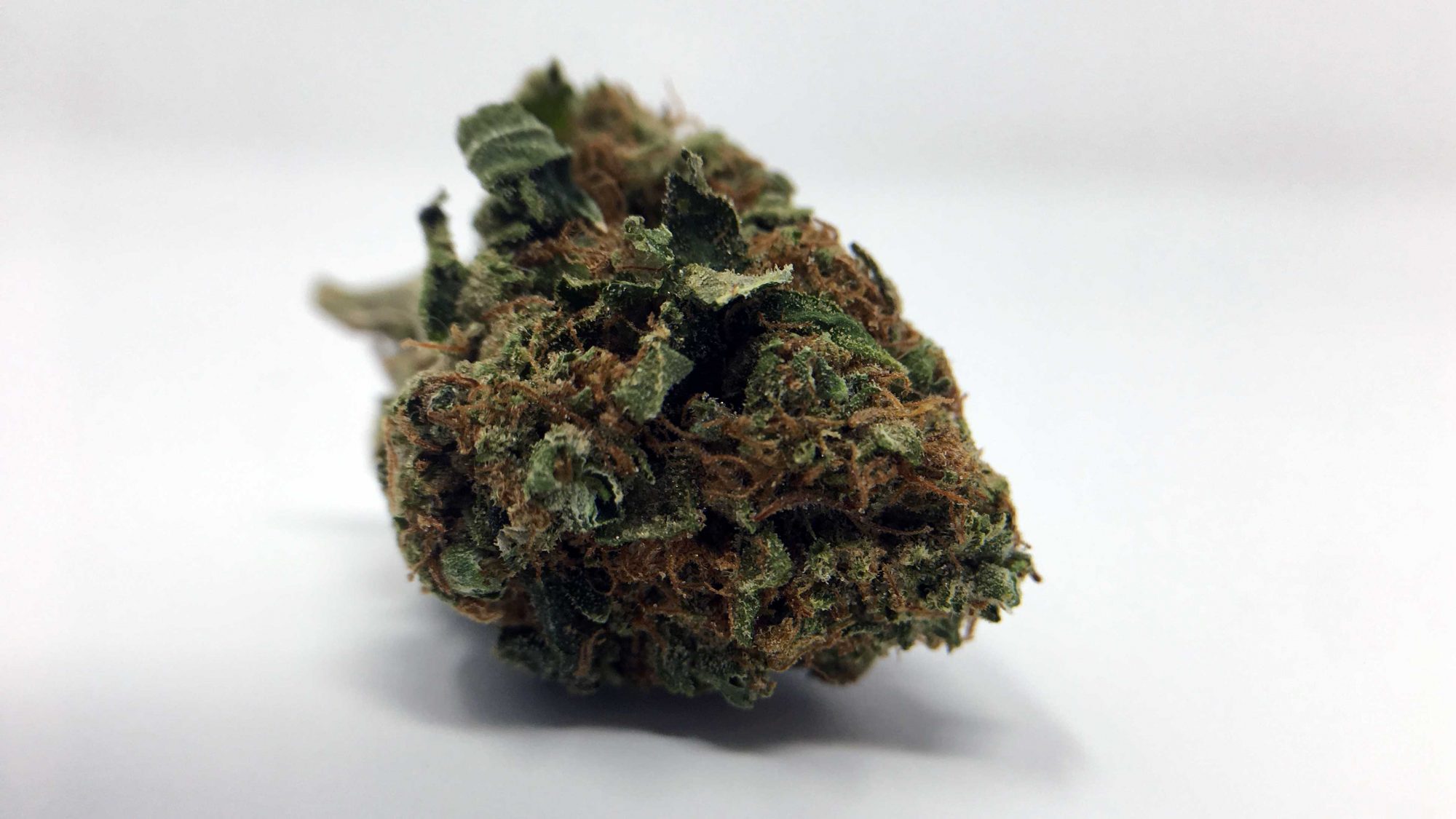 Archive image 3 for El Chapo OG Cannabis Strain Information