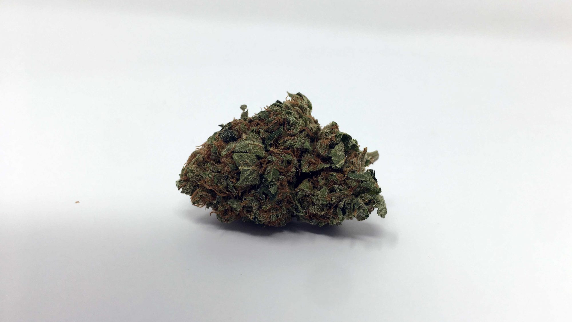 Archive image 5 for El Chapo OG Cannabis Strain Information