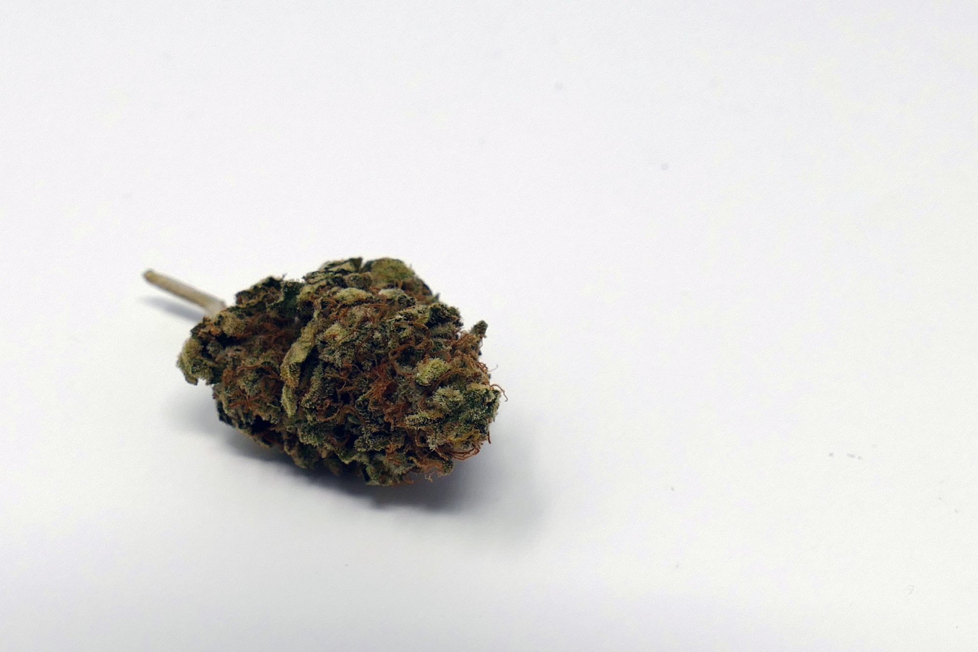 Archive image 3 for El Fuego (The Fire) Cannabis Strain Review & Information