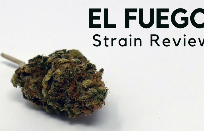 Archive image 5 for El Fuego (The Fire) Cannabis Strain Review & Information