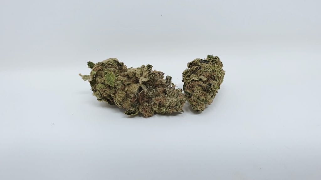 Archive image 2 for Enzo Cannabis Strain Review & Information