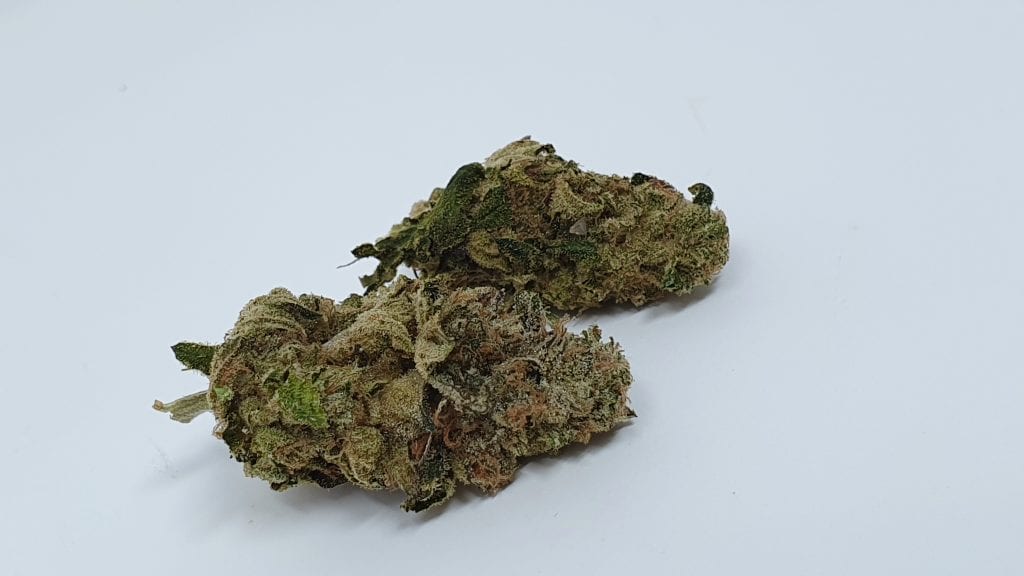 Archive image 5 for Enzo Cannabis Strain Review & Information