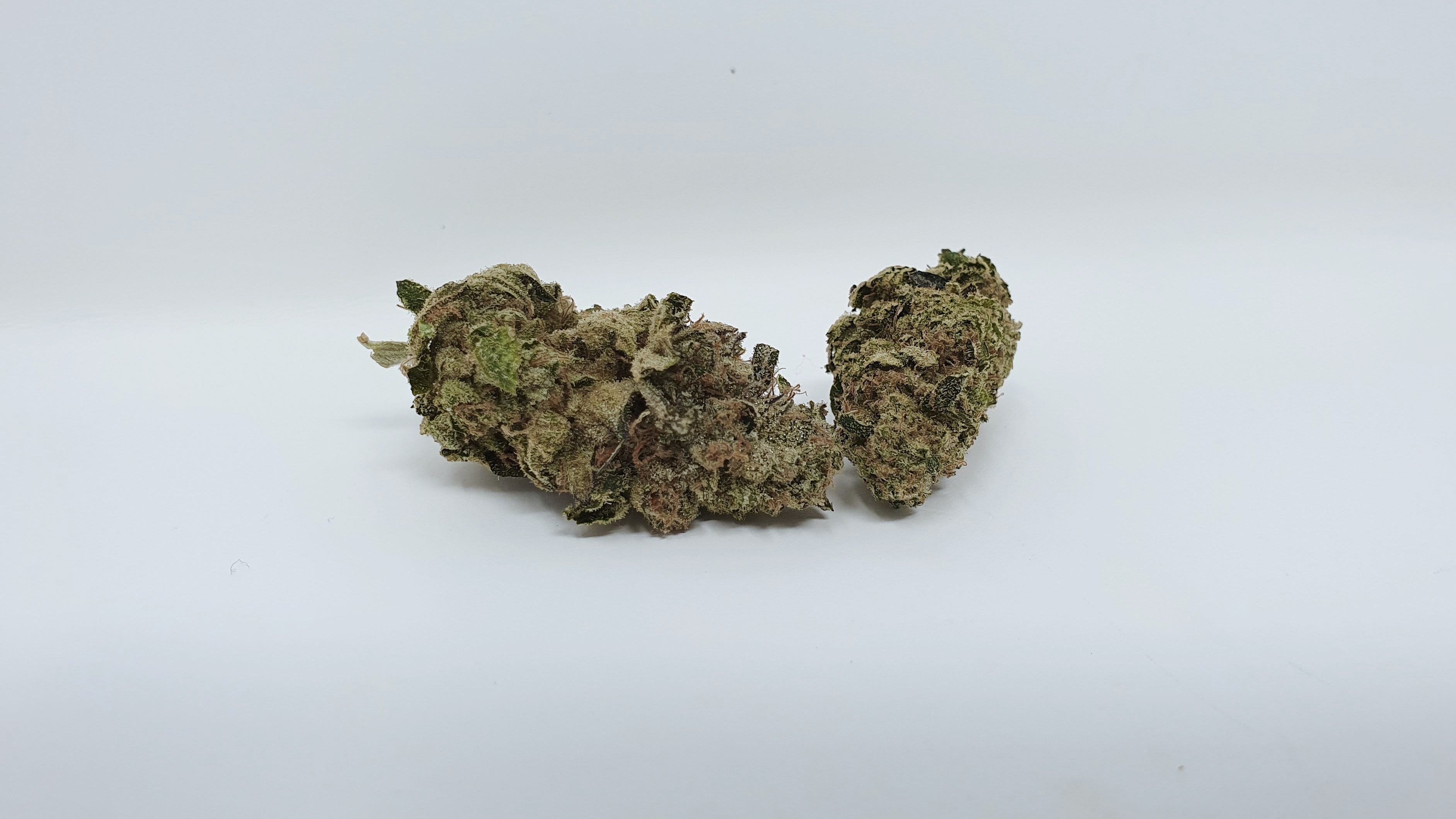 Archive image 6 for Enzo Cannabis Strain Review & Information