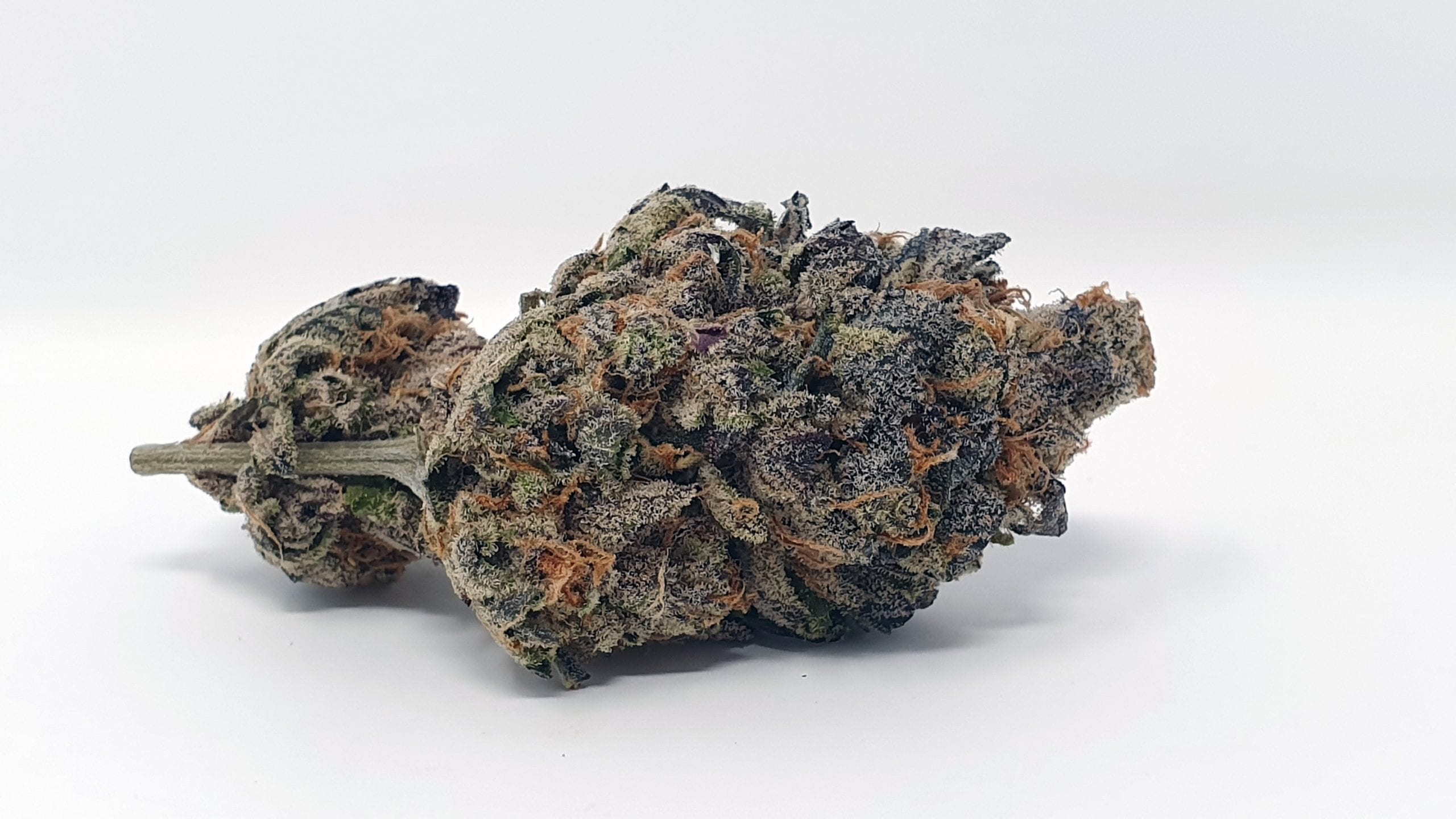Archive image 4 for Footloose Cannabis Strain Review & Information