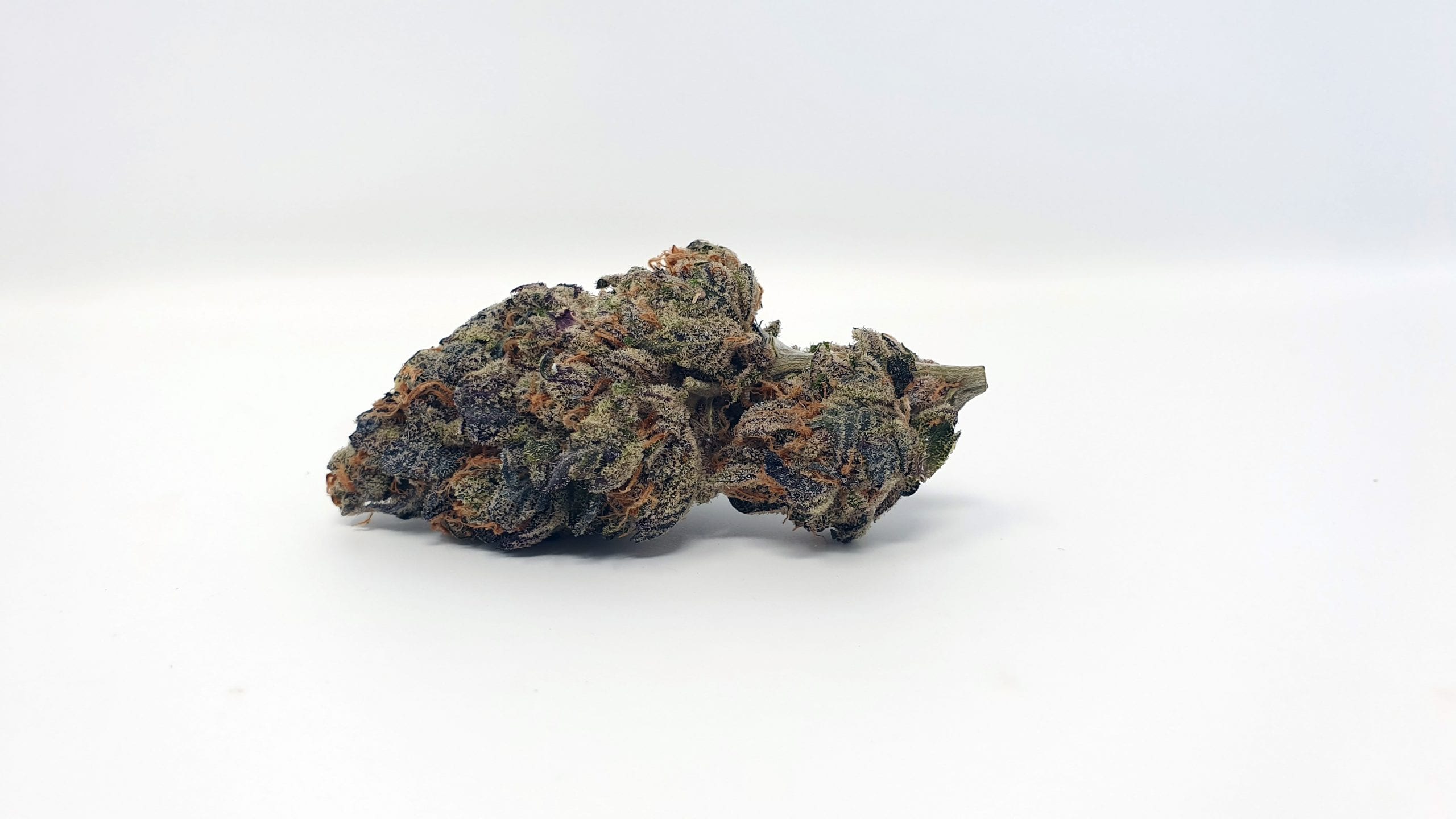 Archive image 5 for Footloose Cannabis Strain Review & Information