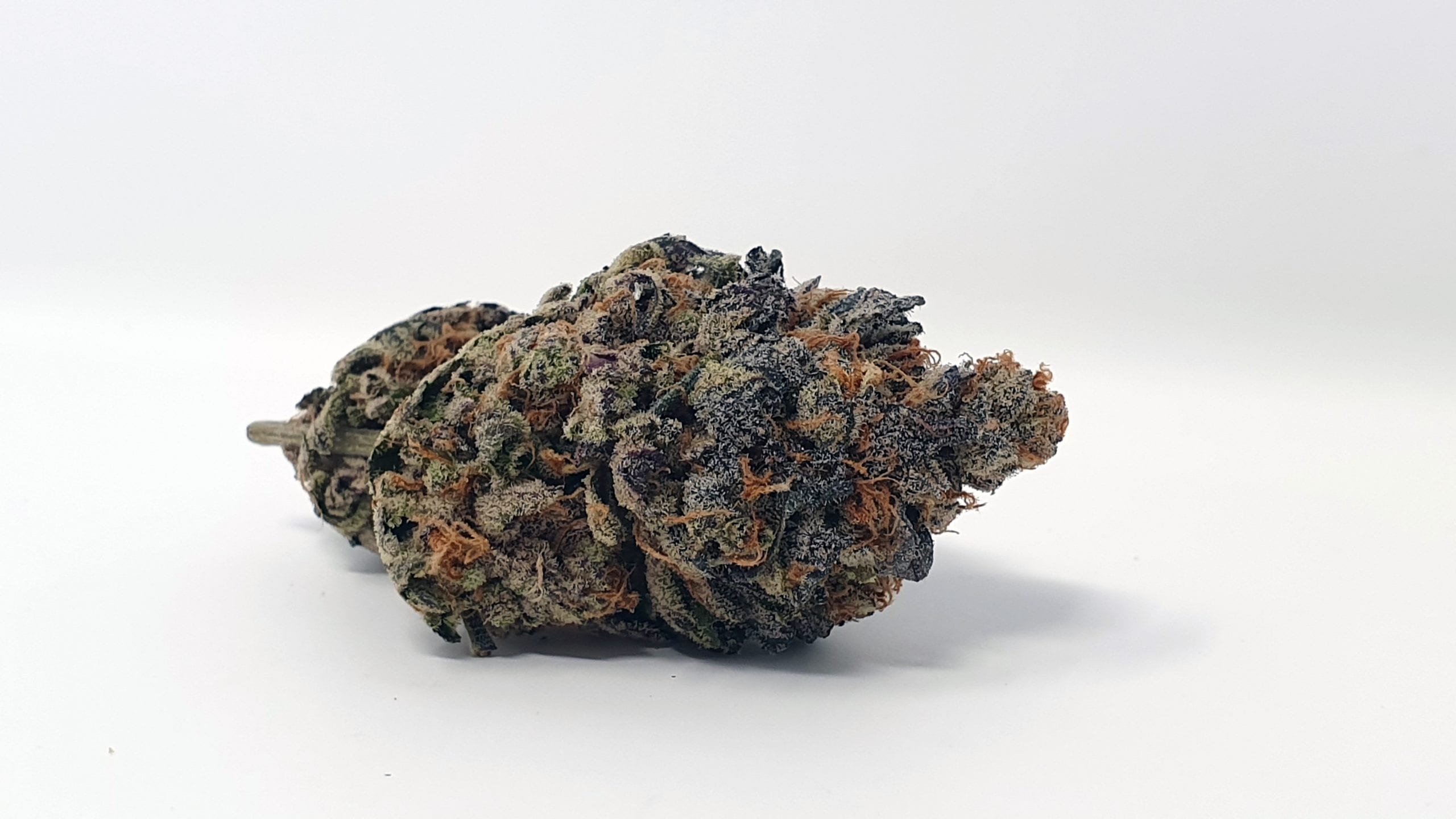 Archive image 6 for Footloose Cannabis Strain Review & Information