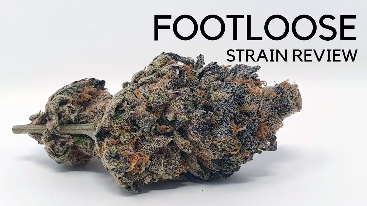 Archive image 8 for Footloose Cannabis Strain Review & Information