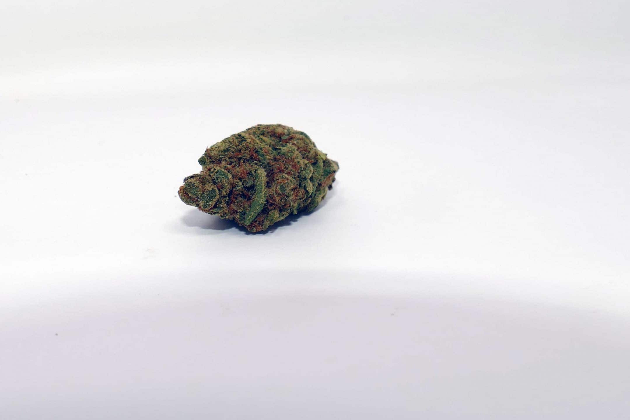Archive image 6 for Fruit Bowl by Karma Genetics - Cannabis Strain Review & Information