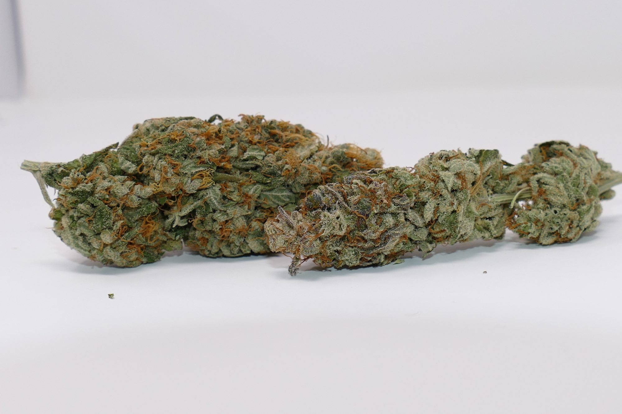 Archive image 3 for Gigantuan Automatic Cannabis Strain Information & Review