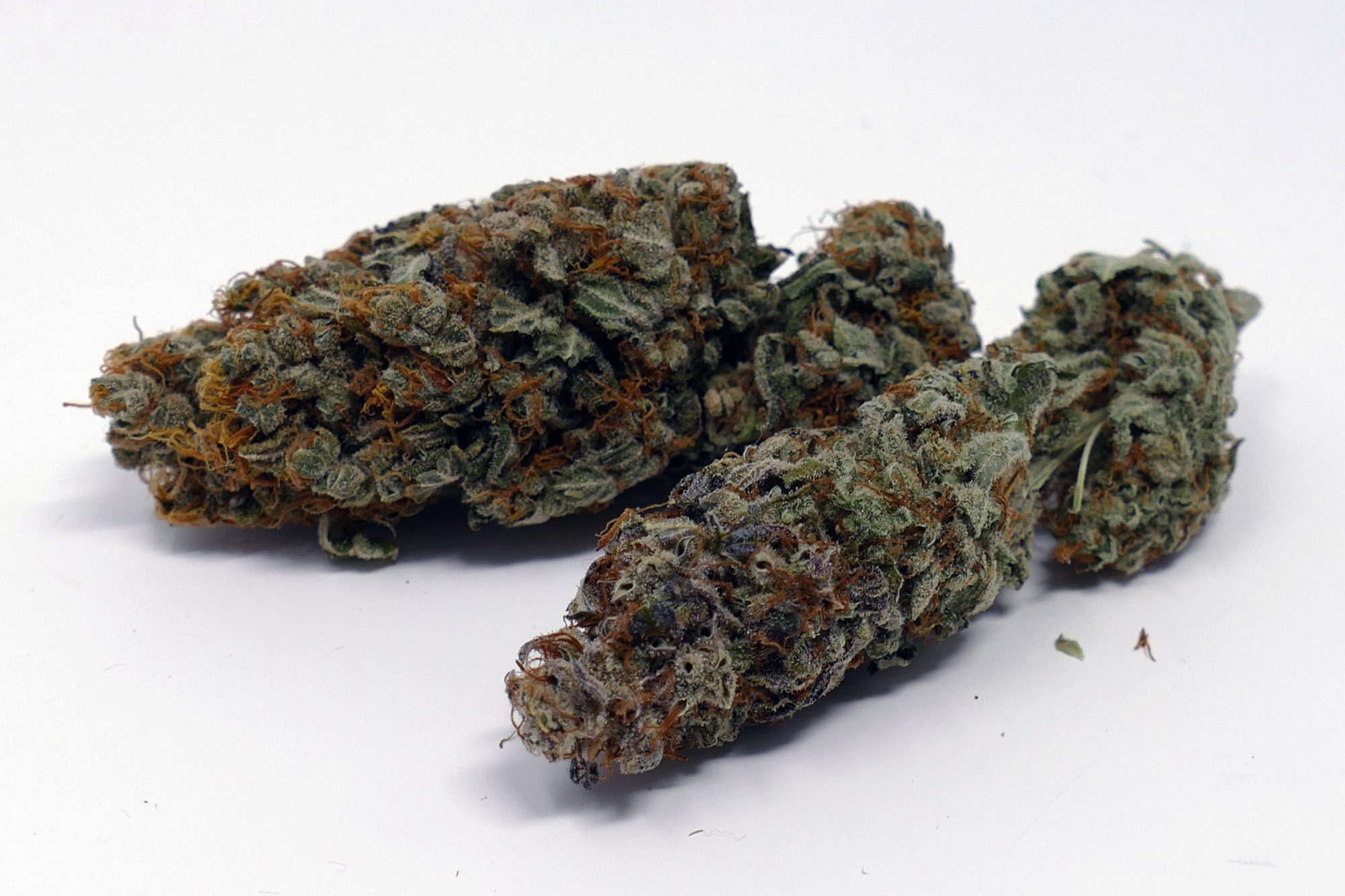 Archive image 4 for Gigantuan Automatic Cannabis Strain Information & Review