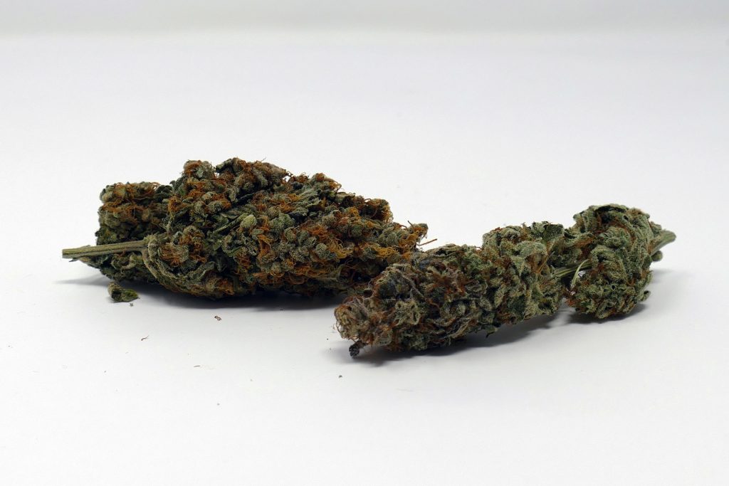 Archive image 7 for Gigantuan Automatic Cannabis Strain Information & Review