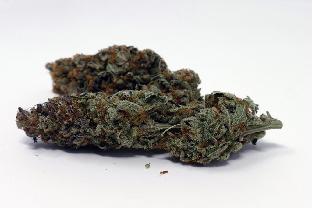 Archive image 9 for Gigantuan Automatic Cannabis Strain Information & Review