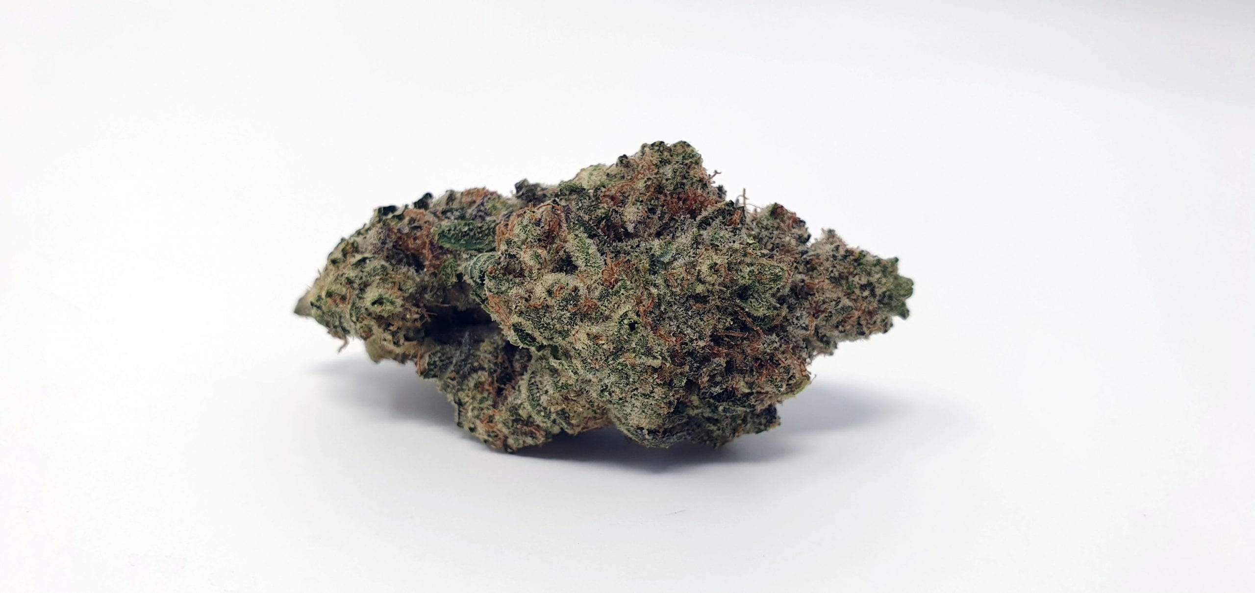 Archive image 2 for Ginger Glue by Black Sheep Botanicals Cannabis Strain Review & Information
