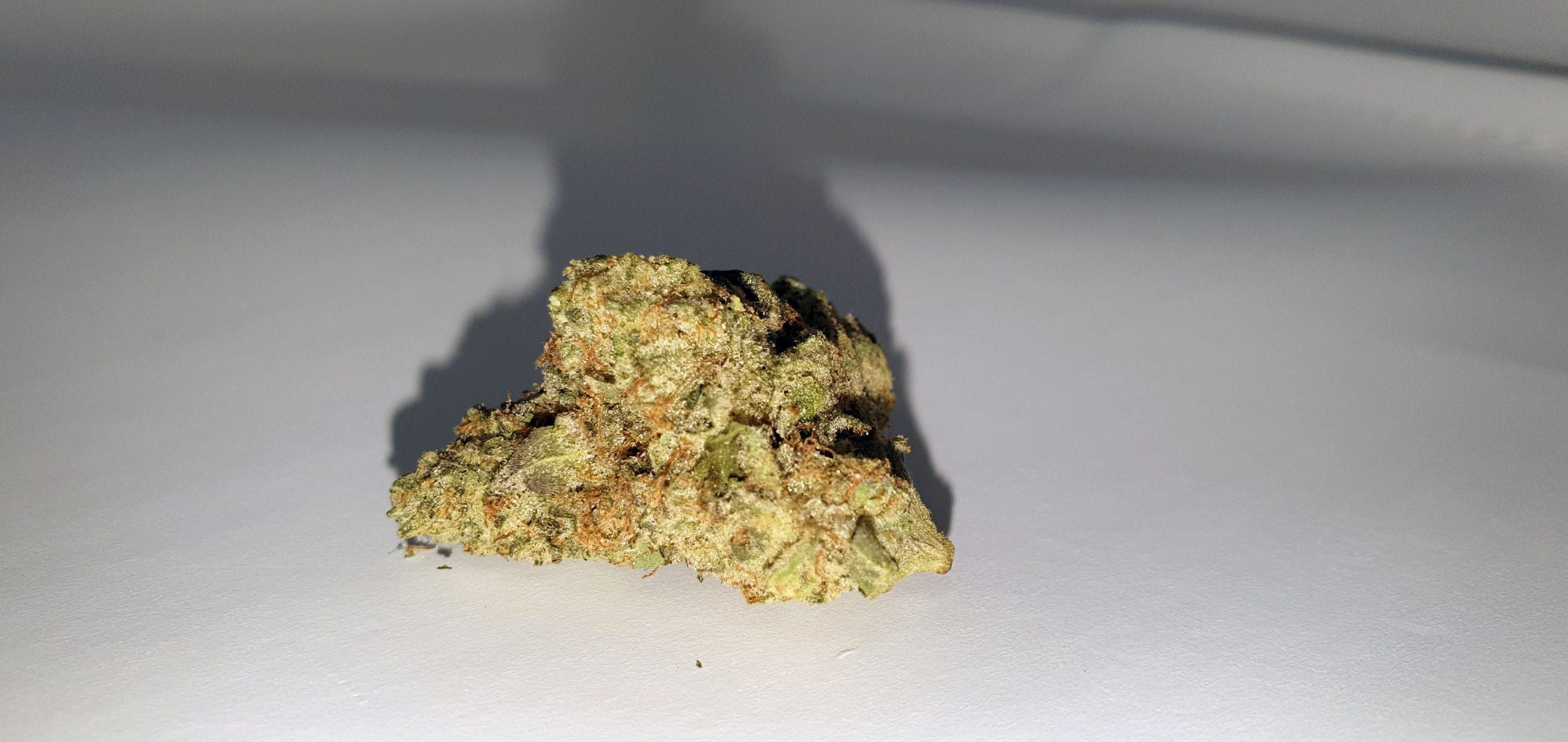 Archive image 3 for Ginger Glue by Black Sheep Botanicals Cannabis Strain Review & Information