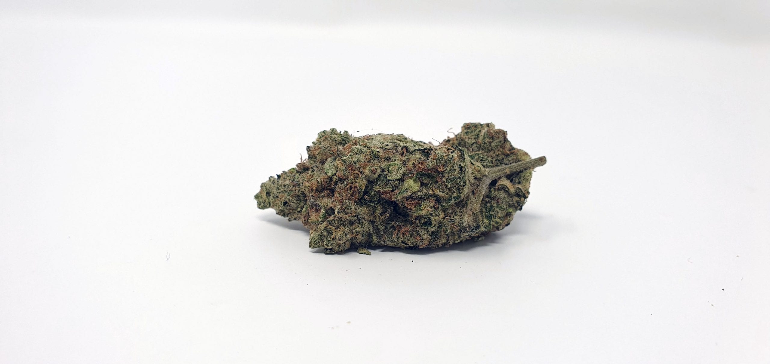 Archive image 4 for Ginger Glue by Black Sheep Botanicals Cannabis Strain Review & Information
