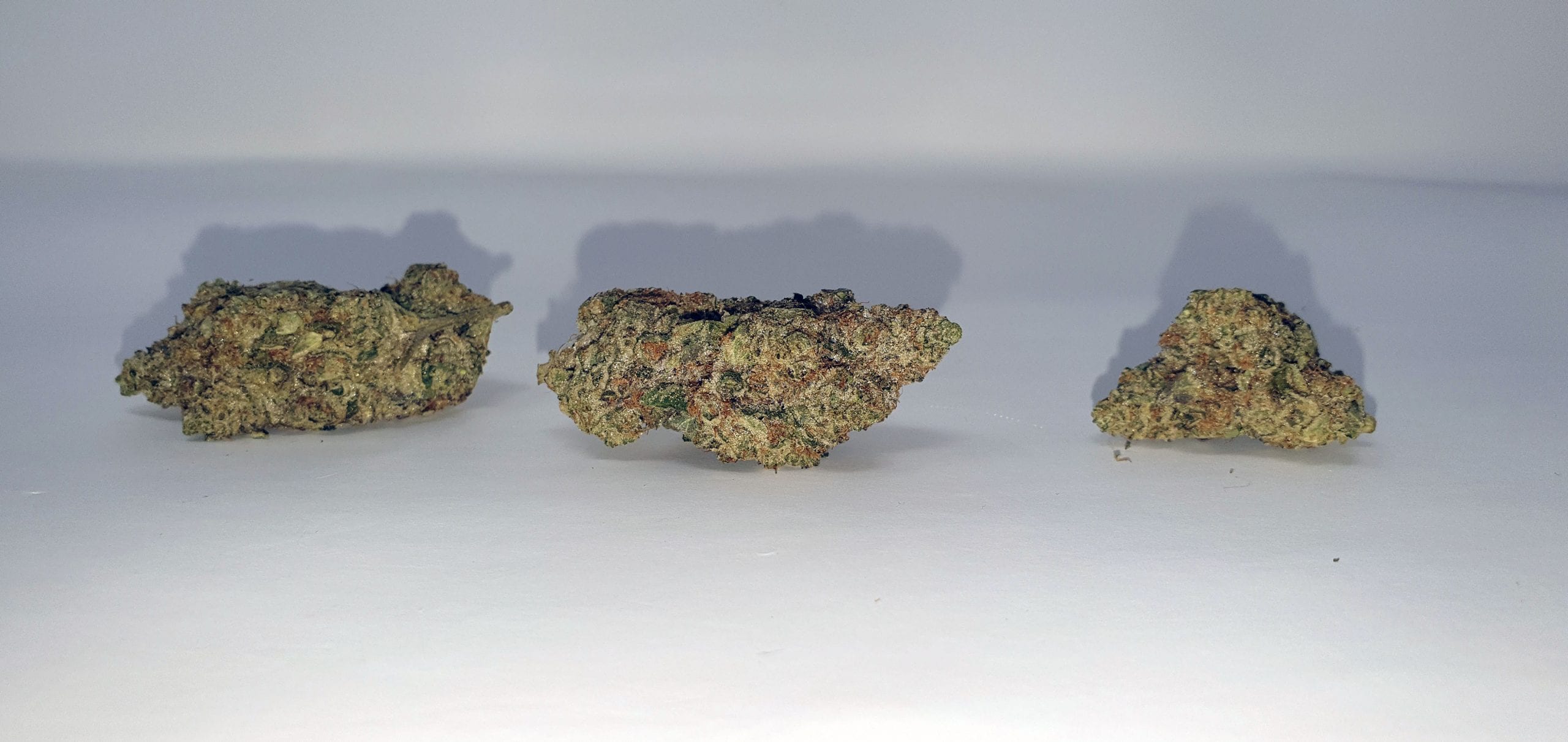 Archive image 5 for Ginger Glue by Black Sheep Botanicals Cannabis Strain Review & Information