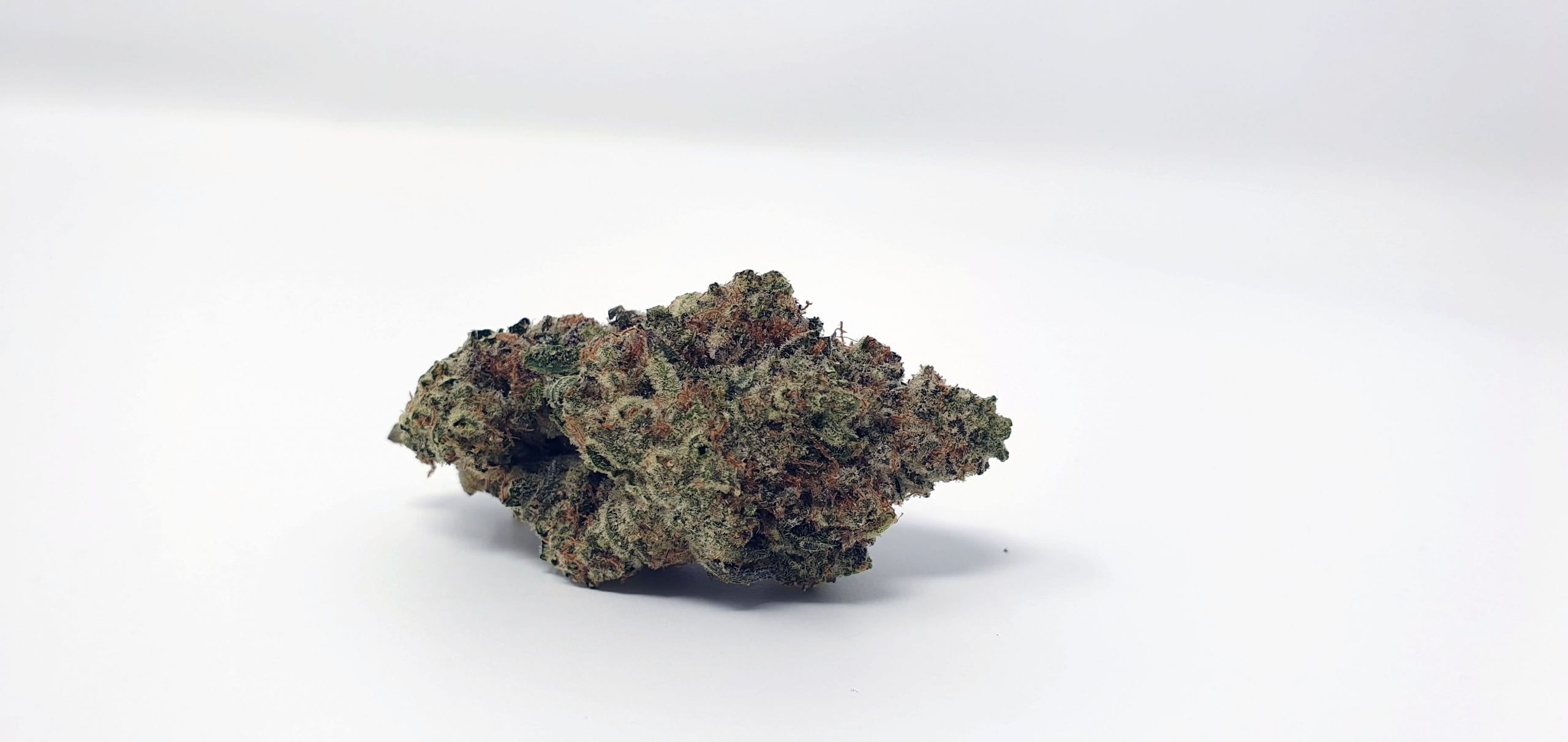 Archive image 6 for Ginger Glue by Black Sheep Botanicals Cannabis Strain Review & Information