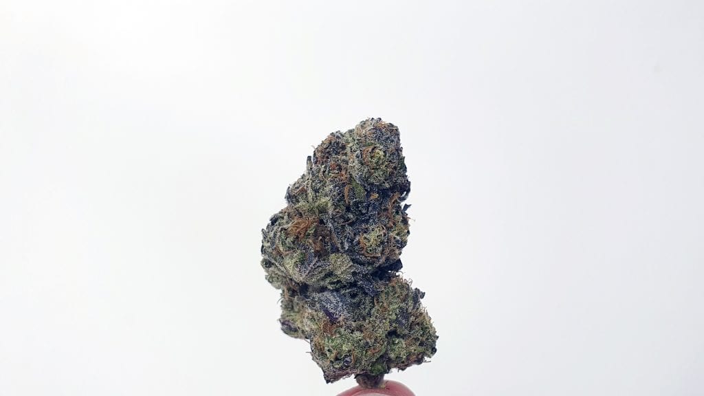 Archive image 4 for Girl Guide Cookies Strain Review & Information