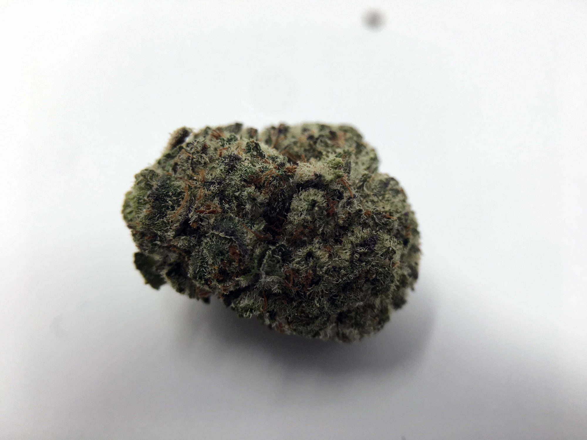 Archive image 5 for Girl Scout Cookies Cannabis Strain Information