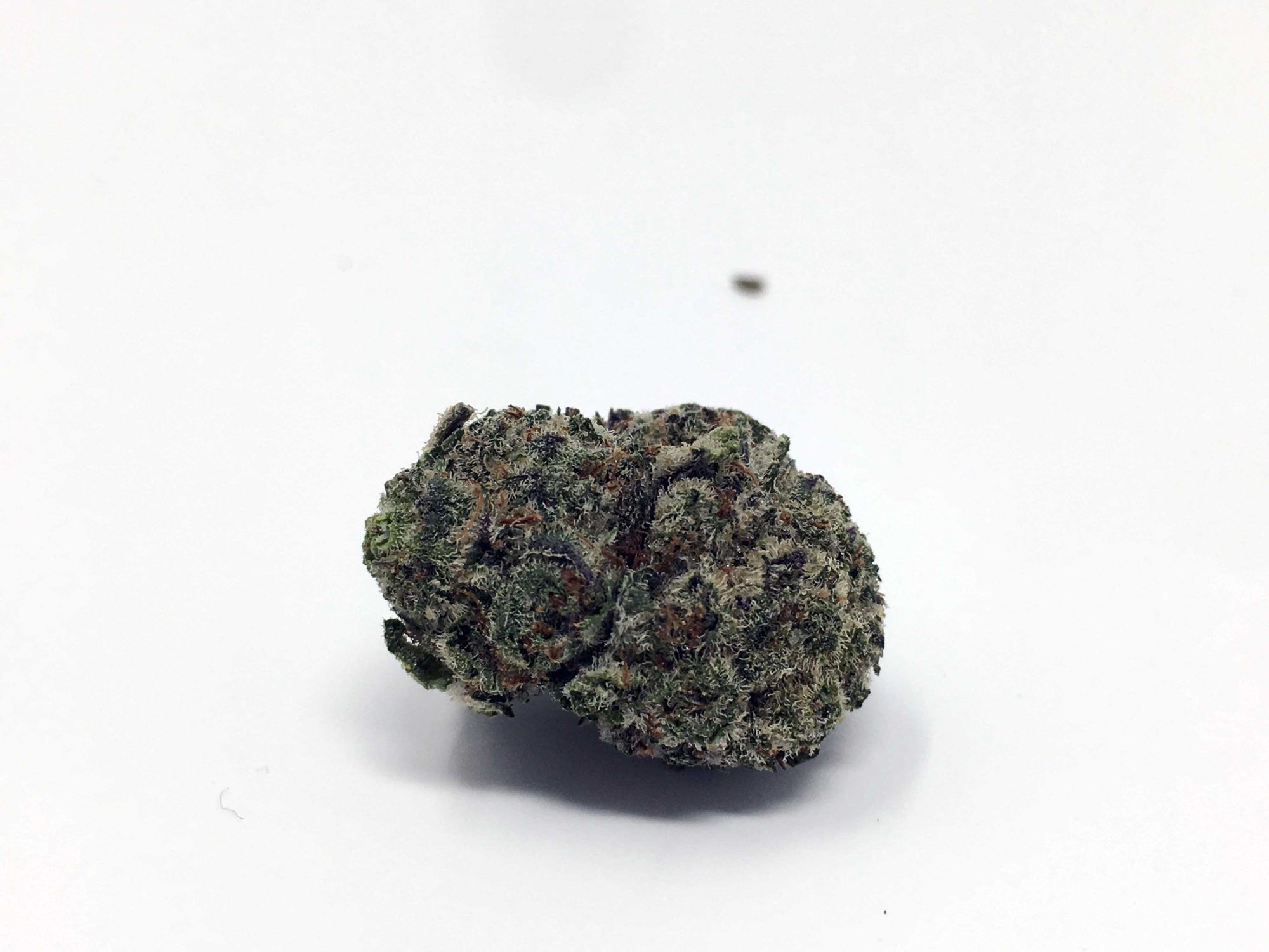 Archive image 8 for Girl Scout Cookies Cannabis Strain Information
