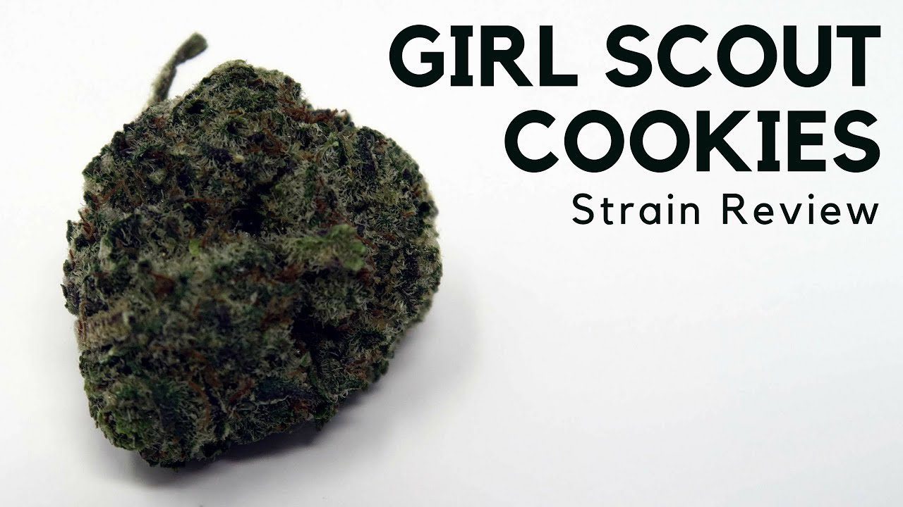Archive image 9 for Girl Scout Cookies Cannabis Strain Information