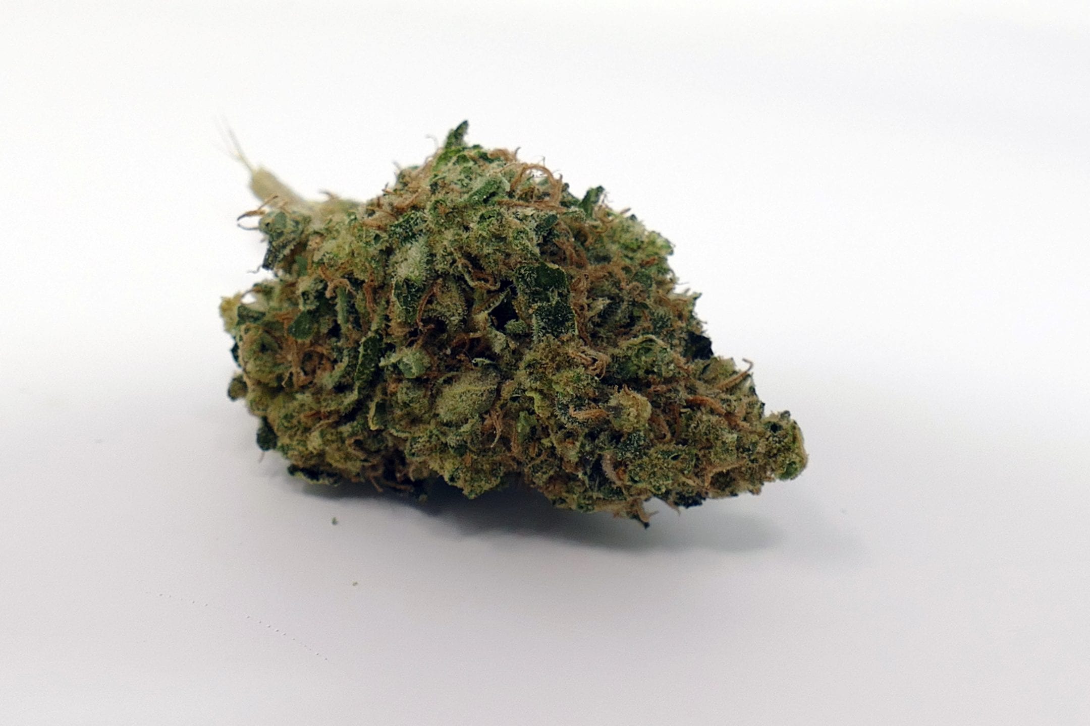 Archive image 2 for Glueberry OG Cannabis Strain Review & Information