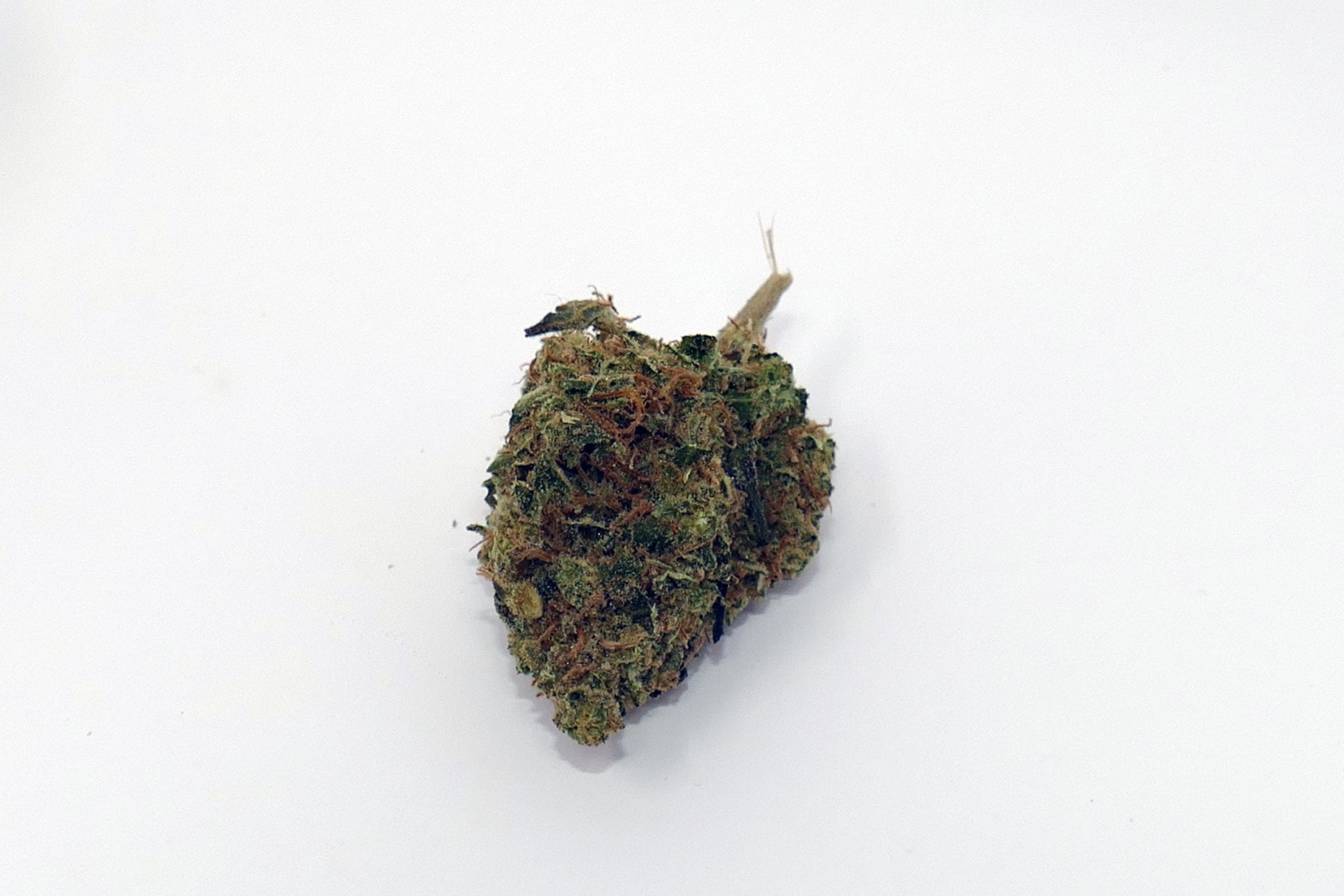 Archive image 4 for Glueberry OG Cannabis Strain Review & Information