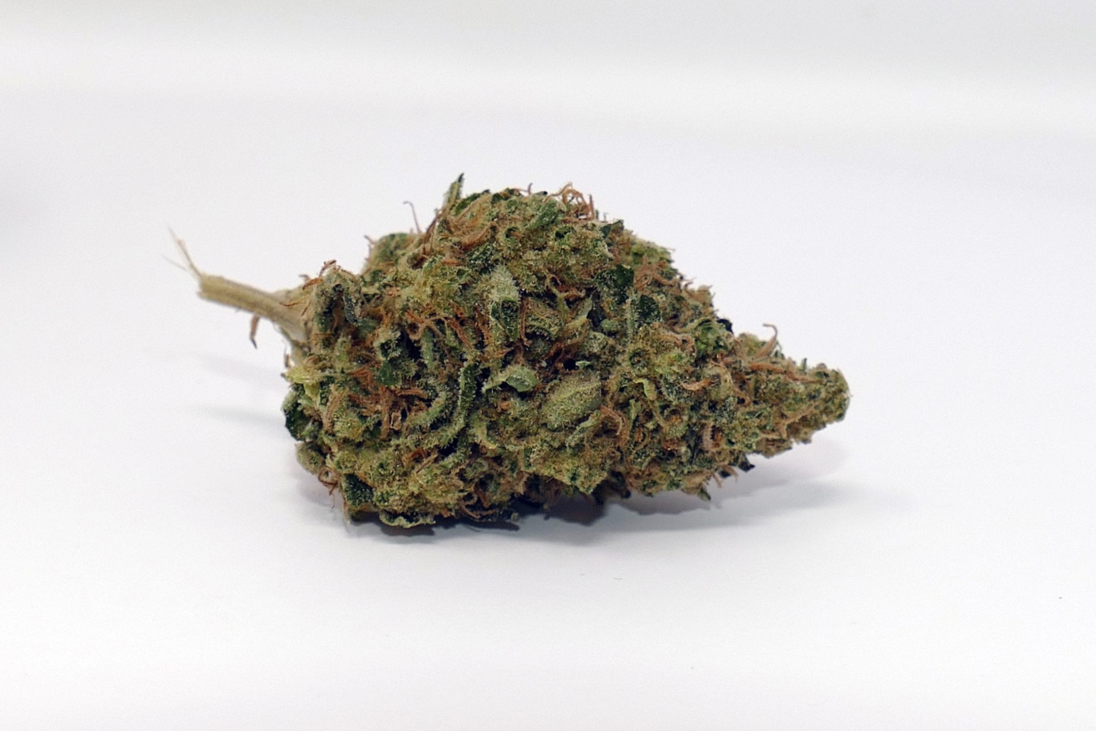 Archive image 7 for Glueberry OG Cannabis Strain Review & Information
