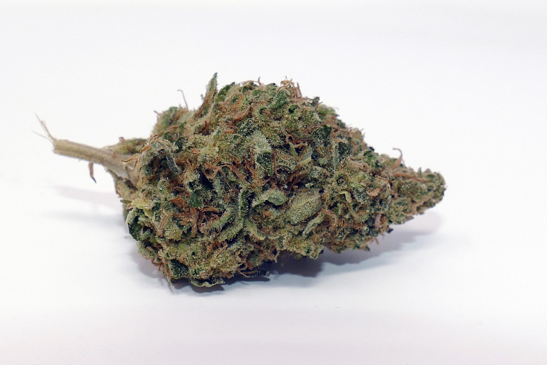 Archive image 8 for Glueberry OG Cannabis Strain Review & Information