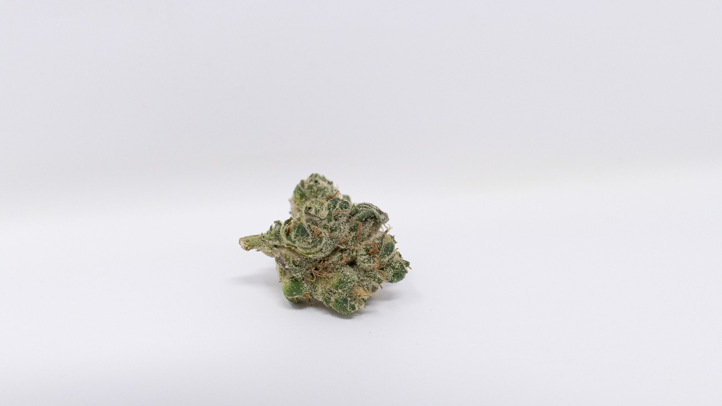 Archive image 6 for GMO Cannabis Strain Review & Information
