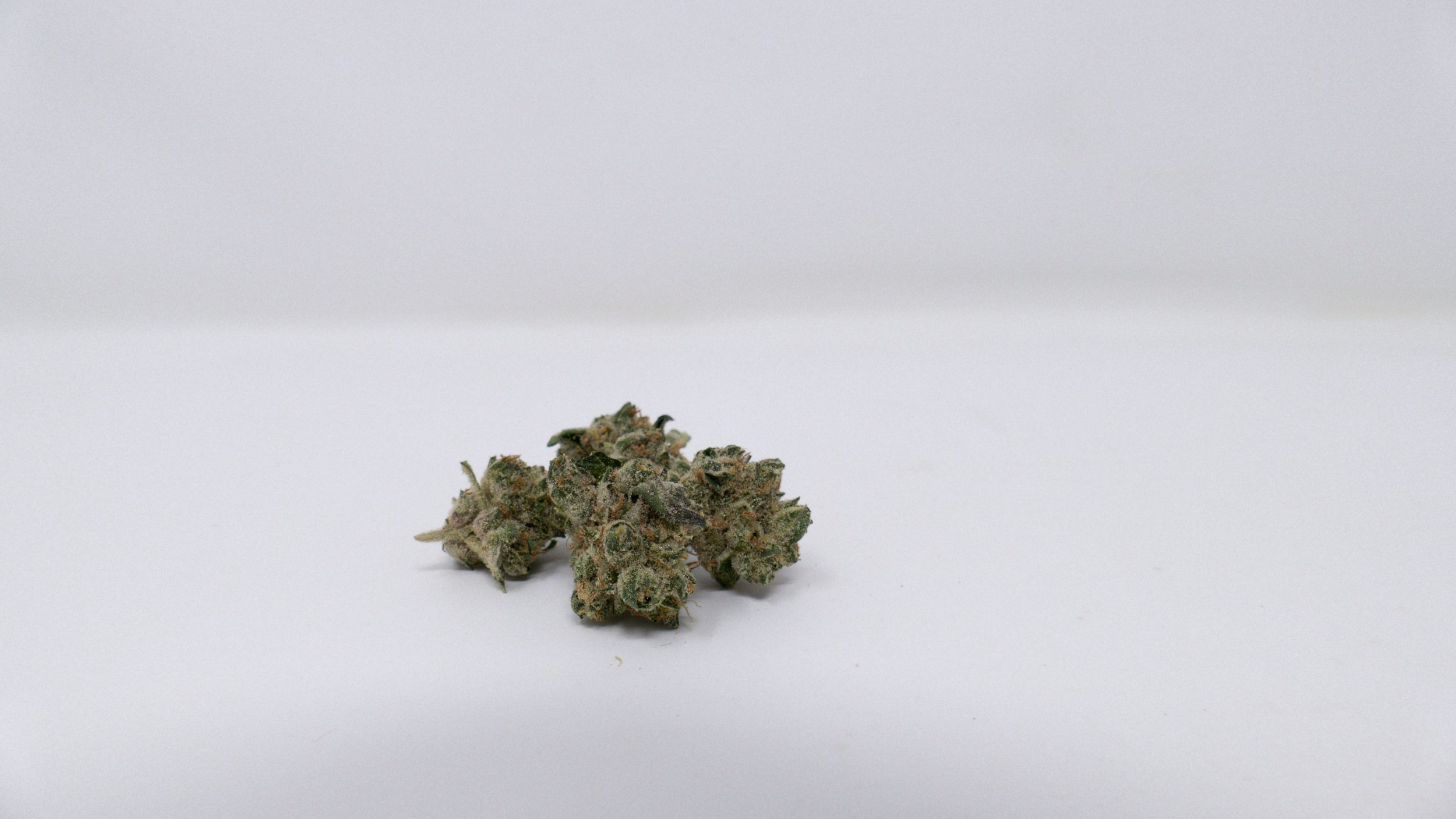 Archive image 9 for GMO Cannabis Strain Review & Information
