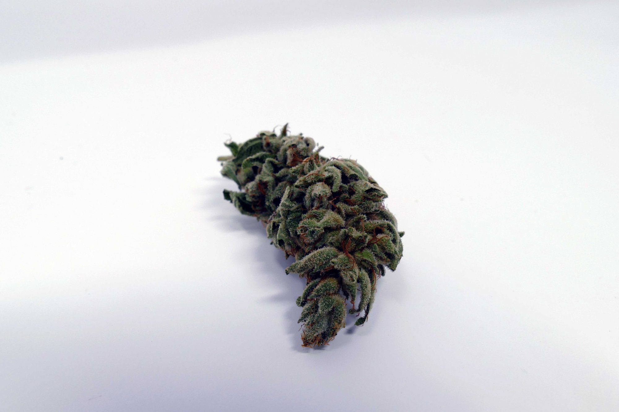 Archive image 2 for Gorilla Glue #4 Cannabis Strain Information & Review