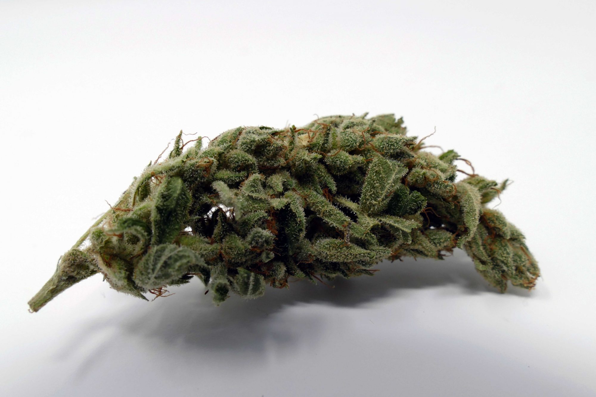 Archive image 4 for Gorilla Glue #4 Cannabis Strain Information & Review