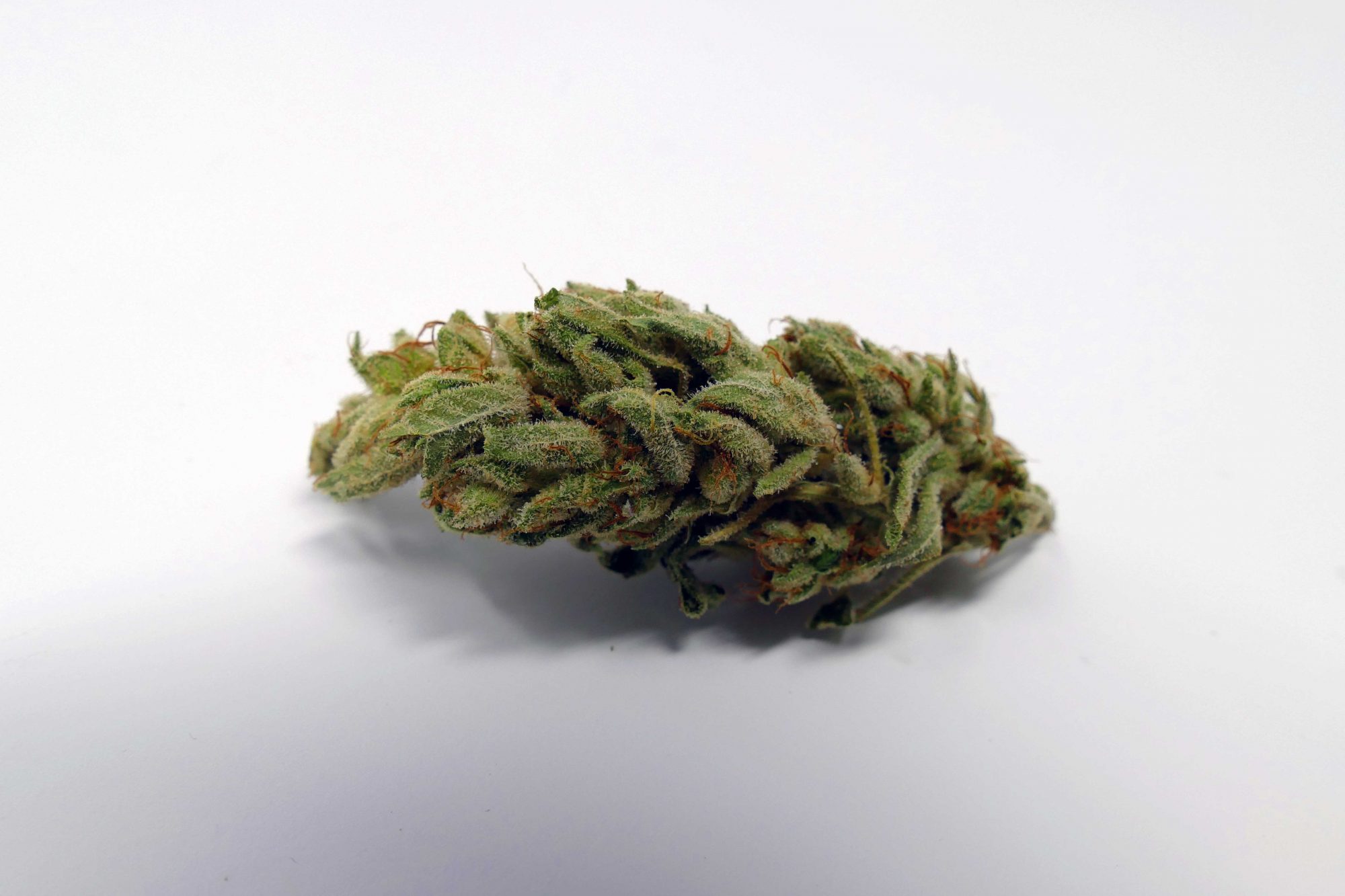 Archive image 6 for Gorilla Glue #4 Cannabis Strain Information & Review