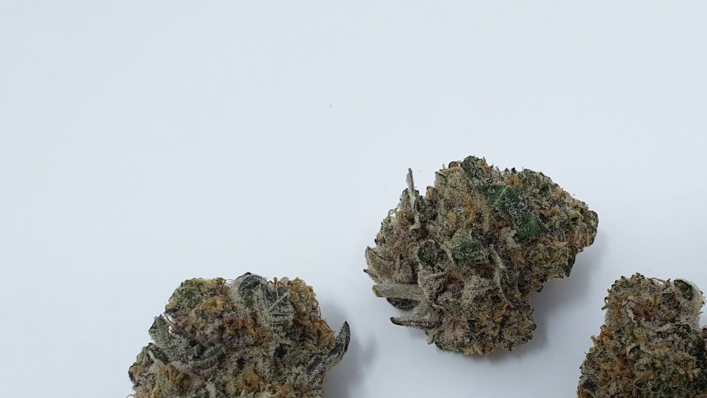 Archive image 2 for Granola Funk Cannabis Strain Review & Information