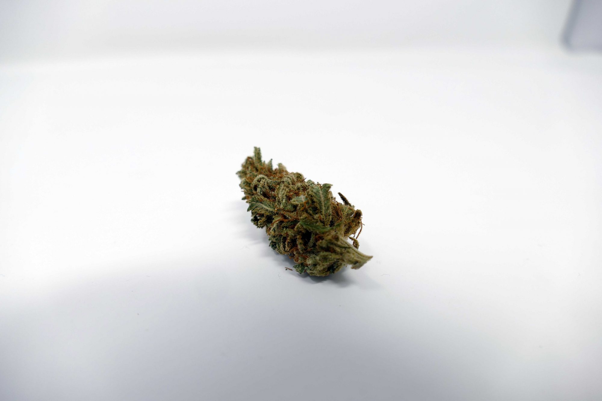 Archive image 2 for Grapefruit Diesel Cannabis Strain Information