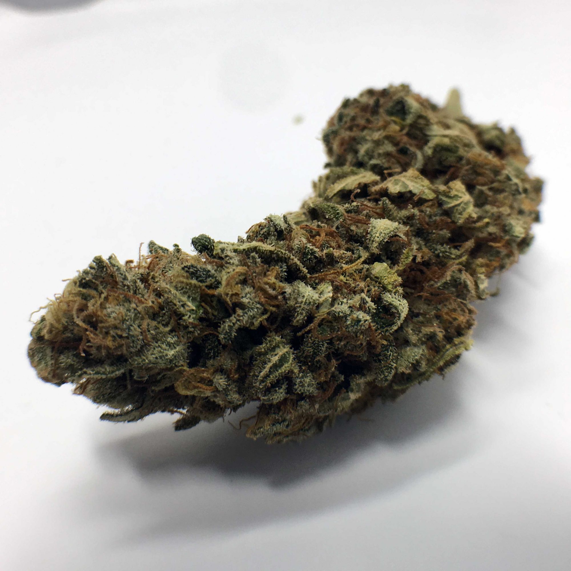 Archive image 3 for Grapefruit Diesel Cannabis Strain Information