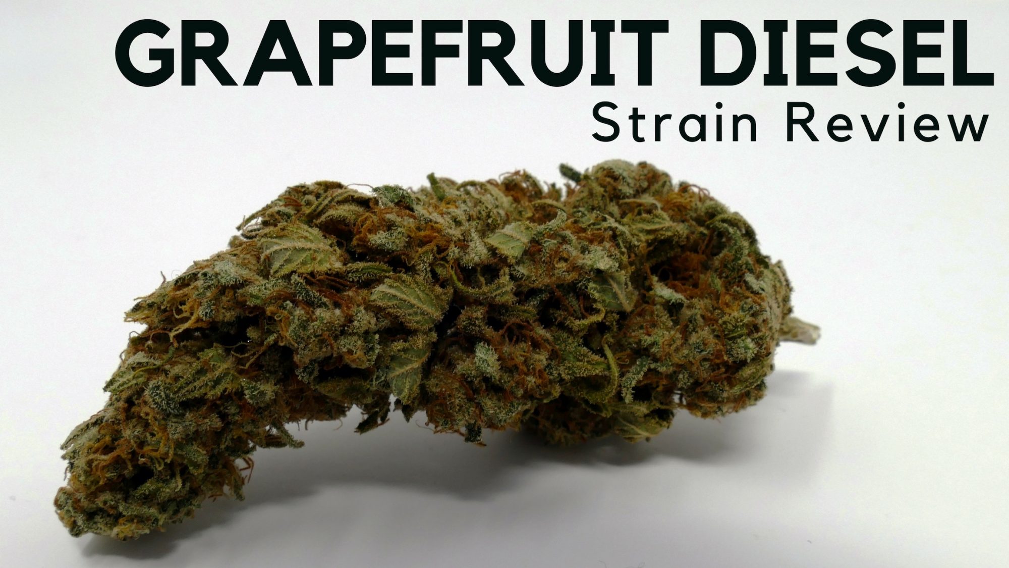 Archive image 6 for Grapefruit Diesel Cannabis Strain Information