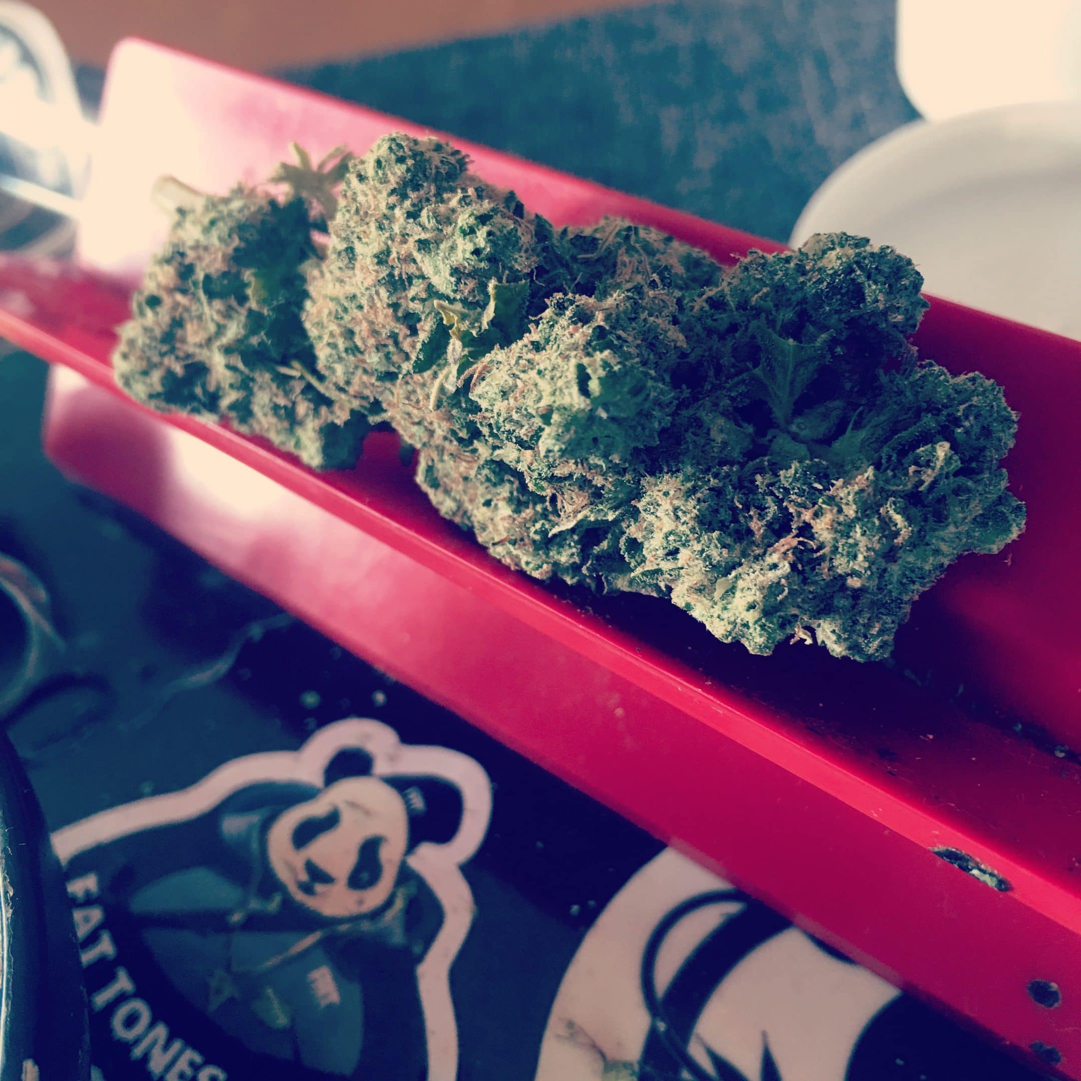 Archive image 2 for Green Crack and Cannabis Strain Names